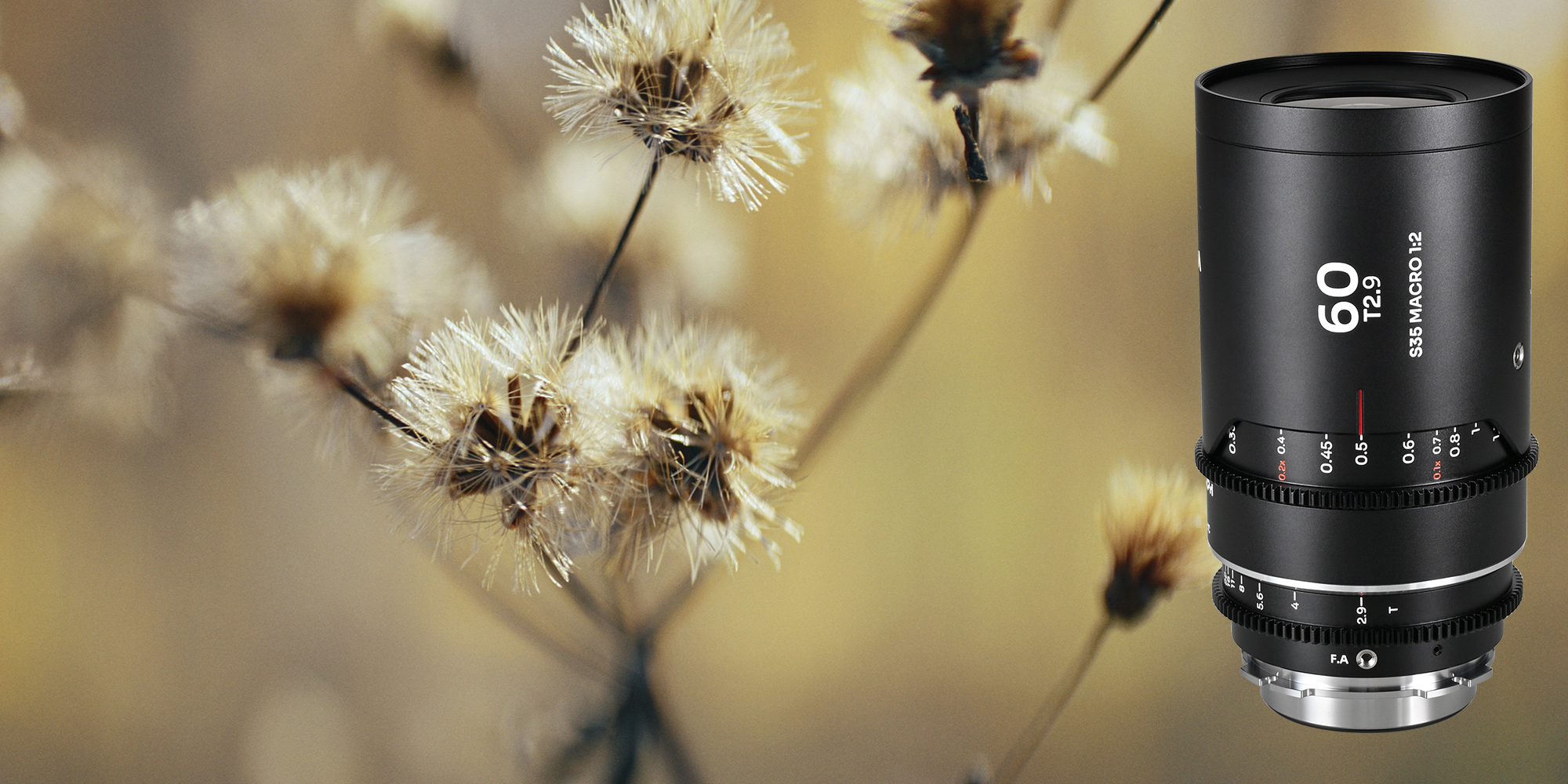 Obiektyw Laowa Nanomorph 60 mm T2,9 1,5x S35 Macro 1:2 Blue do Arri PL/Canon EF na tle kwiatów